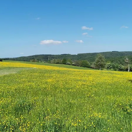 Wandern, Reiten Und Seele Baumeln Lassen Dickschied